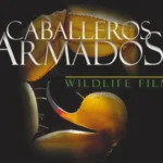 2 imagen 31 escorpion